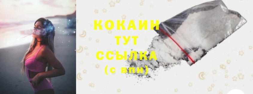 продажа наркотиков  Исилькуль  Cocaine FishScale 